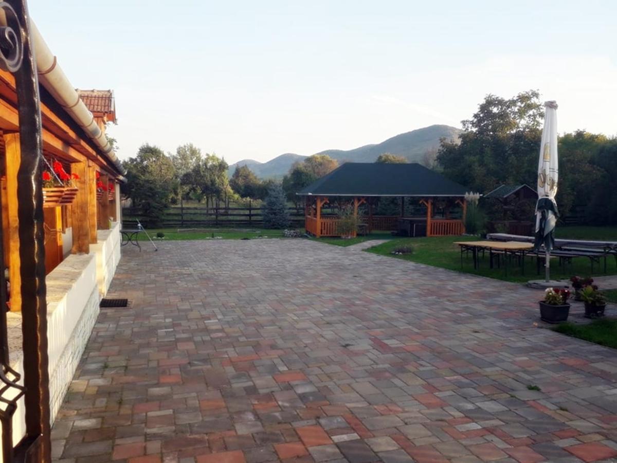 Hegyalja Vendeghaz Daire Tolcsva Dış mekan fotoğraf